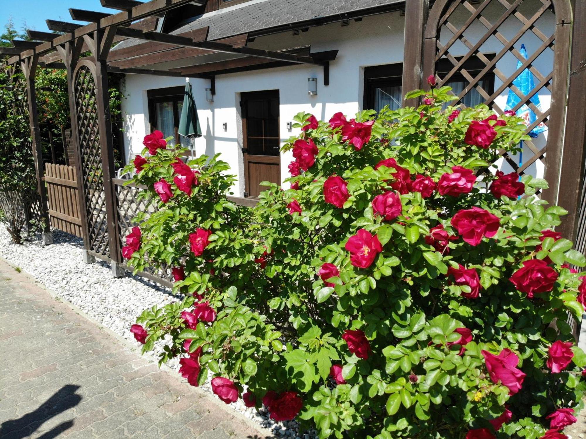 Ferienhaus Kress Links Sellin  Ngoại thất bức ảnh